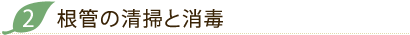 根管の清掃と消毒