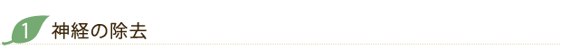 神経の除去