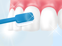 正しい歯磨きの方法を知る